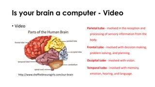 Is your brain a computer - Video
• Video Parietal Lobe - involved in the reception and
processing of sensory information from the
body.
Frontal Lobe - involved with decision-making,
problem solving, and planning.
Occipital Lobe - involved with vision.
Temporal Lobe - involved with memory,
emotion, hearing, and language.http://www.sheffieldneurogirls.com/our-brain
 