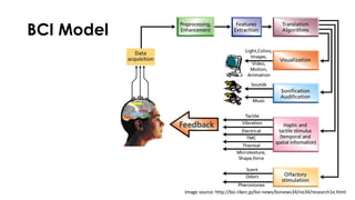BCI Model
Image source: http://bsi.riken.jp/bsi-news/bsinews34/no34/research1e.html
 