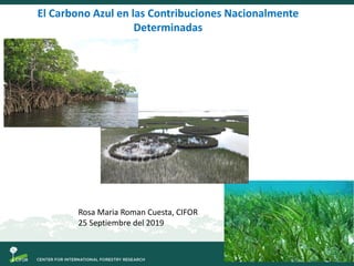 El Carbono Azul en las Contribuciones Nacionalmente
Determinadas
Rosa Maria Roman Cuesta, CIFOR
25 Septiembre del 2019
 