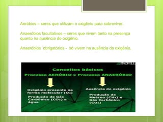 Aeróbios – seres que utilizam o oxigênio para sobreviver.
Anaeróbios facultativos – seres que vivem tanto na presença
quanto na ausência do oxigênio.
Anaeróbios obrigatórios - só vivem na ausência do oxigênio.
 