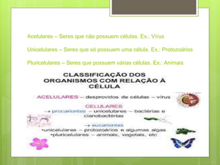 Acelulares – Seres que não possuem células. Ex.: Vírus
Unicelulares – Seres que só possuem uma célula. Ex.: Protozoários
Pluricelulares – Seres que possuem várias células. Ex.: Animais
 