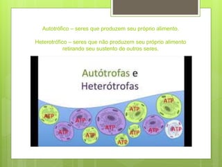 Autotrófico – seres que produzem seu próprio alimento.
Heterotrófico – seres que não produzem seu próprio alimento
retirando seu sustento de outros seres.
 
