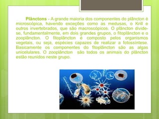 Plânctons - A grande maioria dos componentes do plâncton é
microscópica, havendo exceções como as medusas, o Krill e
outros invertebrados, que são macroscópicos. O plâncton divide-
se, fundamentalmente, em dois grandes grupos, o fitoplâncton e o
zooplâncton. O fitoplâncton é composto pelos organismos
vegetais, ou seja, espécies capazes de realizar a fotossíntese.
Basicamente os componentes do fitoplâncton são as algas
unicelulares. O zooplâncton são todos os animais do plâncton
estão reunidos neste grupo.
 