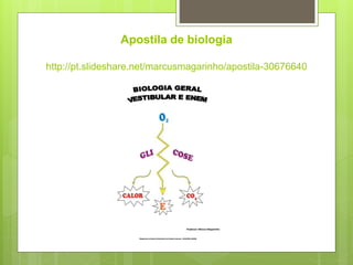 Apostila de biologia
http://pt.slideshare.net/marcusmagarinho/apostila-30676640
 