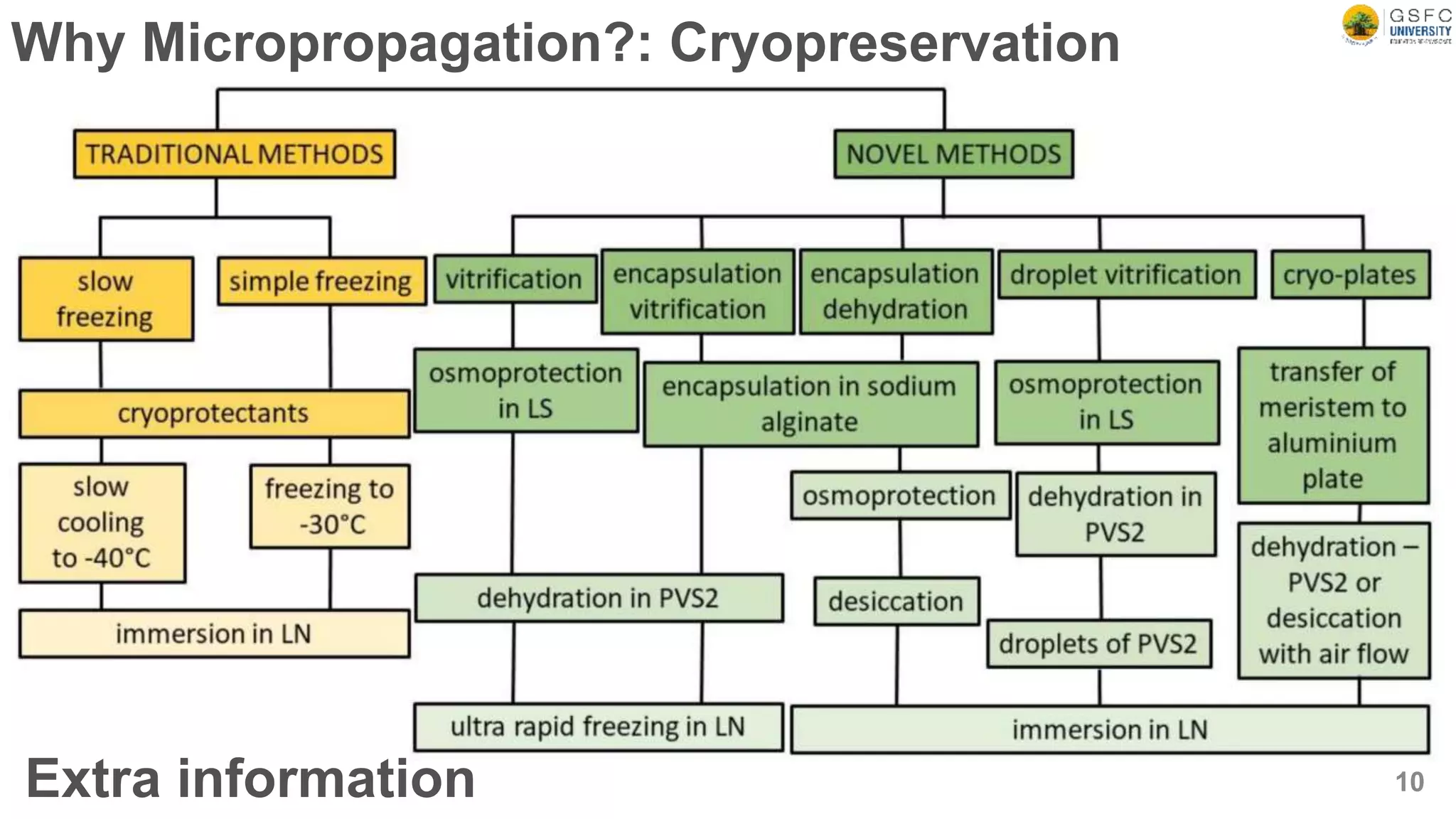 Why Micropropagation?: Cryopreservation
10
Extra information
 