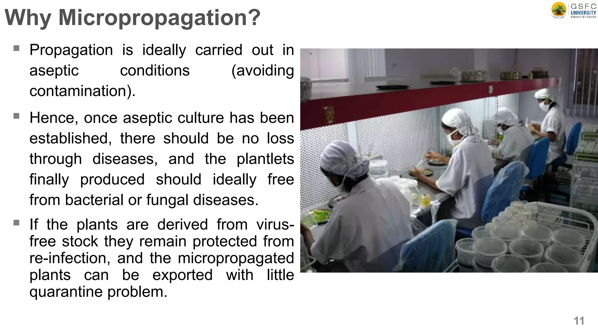 Why Micropropagation?
 Propagation is ideally carried out in
aseptic conditions (avoiding
contamination).
 Hence, once aseptic culture has been
established, there should be no loss
through diseases, and the plantlets
finally produced should ideally free
from bacterial or fungal diseases.
 If the plants are derived from virus-
free stock they remain protected from
re-infection, and the micropropagated
plants can be exported with little
quarantine problem.
11
 