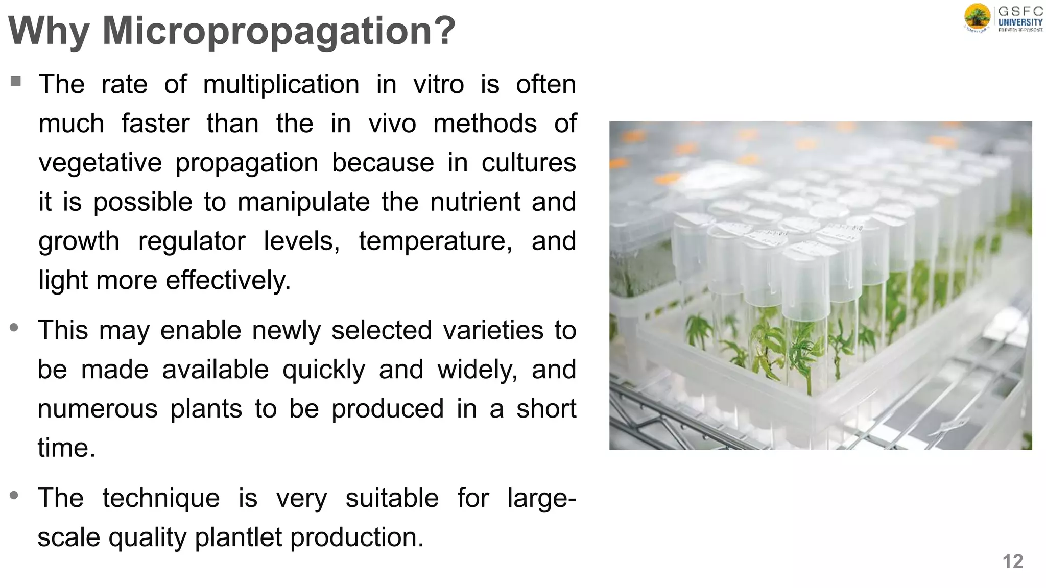 Why Micropropagation?
 The rate of multiplication in vitro is often
much faster than the in vivo methods of
vegetative propagation because in cultures
it is possible to manipulate the nutrient and
growth regulator levels, temperature, and
light more effectively.
• This may enable newly selected varieties to
be made available quickly and widely, and
numerous plants to be produced in a short
time.
• The technique is very suitable for large-
scale quality plantlet production.
12
 