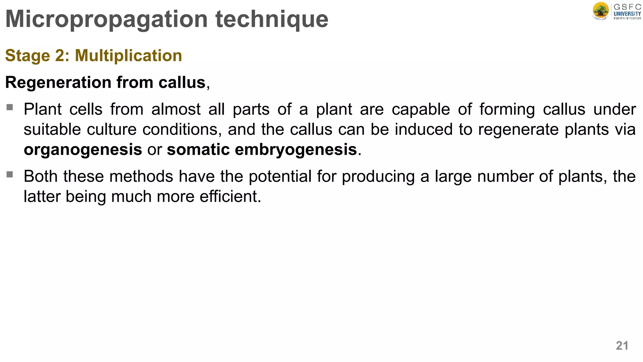 Micropropagation technique
Stage 2: Multiplication
Regeneration from callus,
 Plant cells from almost all parts of a plant are capable of forming callus under
suitable culture conditions, and the callus can be induced to regenerate plants via
organogenesis or somatic embryogenesis.
 Both these methods have the potential for producing a large number of plants, the
latter being much more efficient.
21
 