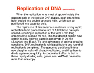 Replication of DNA
Replication of DNA (continuation)
When the replication forks meet at approximately the
opposite side of the circular DNA duplex, each strand has
been copied into double-stranded helix, which can be
partitioned into daughter cells.
The replication of this enormous molecule is very rapid;
replication forks proceed at a rate of 1,000 base pairs per
second, resulting in replication of the total 1-mm-long
second, resulting in replication of the total 1-mm-long
chromosome in about 40 min. This fact doesn’t explain how
certain rapidly growing bacteria can divide in 20 min
(S.aureus and E.coli). To take advantage of optimal growing
conditions, DNA replication is reinitiated before one round of
replication is completed. The genomes partitioned into a
new daughter cells will already replicated, enabling them to
divide again more quickly. A concomitant effect is that in
these rapidly dividing cells, genes near oriC will present in
more than one copy.
 