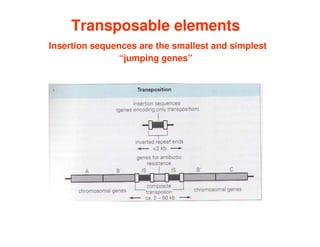 Transposable elements
Transposable elements
Insertion sequences are the smallest and simplest
“jumping genes”
 