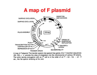 A map of F plasmid
 
