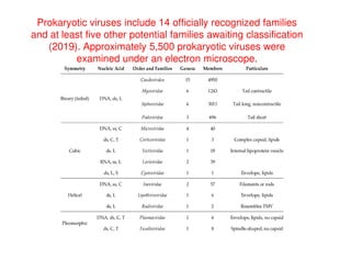 Prokaryotic viruses include 14 officially recognized families
and at least five other potential families awaiting classification
(2019). Approximately 5,500 prokaryotic viruses were
examined under an electron microscope.
 
