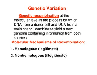 Genetic Variation
Genetic Variation
Genetic recombination at the
molecular level is the process by which
DNA from a donor cell and DNA from a
recipient cell combine to yield a new
genome containing information from both
genome containing information from both
sources
Molecular Mechanisms of Recombination:
1. Homologous (legitimate)
2. Nonhomologous (illegitimate)
 
