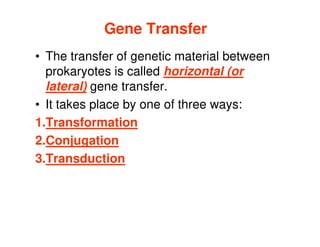 Gene Transfer
Gene Transfer
• The transfer of genetic material between
prokaryotes is called horizontal (or
lateral) gene transfer.
• It takes place by one of three ways:
1.Transformation
2.Conjugation
3.Transduction
 