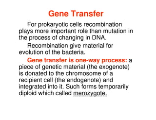 Gene Transfer
Gene Transfer
For prokaryotic cells recombination
For prokaryotic cells recombination
plays more important role than mutation in
plays more important role than mutation in
the process of changing in DNA.
the process of changing in DNA.
Recombination give material for
Recombination give material for
evolution of the bacteria.
evolution of the bacteria.
evolution of the bacteria.
evolution of the bacteria.
Gene transfer is one
Gene transfer is one-
-way process:
way process: a
a
piece of genetic material (the exogenote)
piece of genetic material (the exogenote)
is donated to the chromosome of a
is donated to the chromosome of a
recipient cell (the endogenote) and
recipient cell (the endogenote) and
integrated into it. Such forms temporarily
integrated into it. Such forms temporarily
diploid which called
diploid which called merozygote.
merozygote.
 