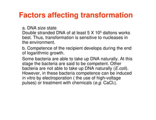Factors affecting transformation
a. DNA size state
Double stranded DNA of at least 5 X 105 daltons works
best. Thus, transformation is sensitive to nucleases in
the environment.
b. Competence of the recipient develops during the end
of logarithmic growth.
of logarithmic growth.
Some bacteria are able to take up DNA naturally. At this
stage the bacteria are said to be competent. Other
bacteria are not able to take up DNA naturally (E.coli).
However, in these bacteria competence can be induced
in vitro by electroporation ( the use of high-voltage
pulses) or treatment with chemicals (e.g. CaCl2).
 
