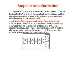 Steps in transformation
Uptake of DNA by Gram+ and Gram- bacteria differs. In Gram +
bacteria the DNA is taken up as a single stranded molecule and the
complementary strand is made in the recipient. In contrast, Gram-
bacteria take up double stranded DNA.
Legitimate/Homologous/General Recombination
After the donor DNA is taken up, a reciprocal recombination event
occurs between the chromosome and the donor DNA. This
recombination requires homology between the donor DNA and the
chromosome and results in the substitution of DNA between the
recipient and the donor as illustrated in scheme.
 
