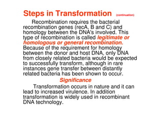 Steps in Transformation (continuation)
Recombination requires the bacterial
recombination genes (recA, B and C) and
homology between the DNA's involved. This
type of recombination is called legitimate or
homologous or general recombination.
Because of the requirement for homology
between the donor and host DNA, only DNA
from closely related bacteria would be expected
from closely related bacteria would be expected
to successfully transform, although in rare
instances gene transfer between distantly
related bacteria has been shown to occur.
Significance
Transformation occurs in nature and it can
lead to increased virulence. In addition
transformation is widely used in recombinant
DNA technology.
 