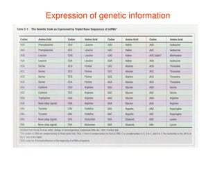 Expression of genetic information
 