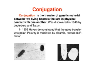 Conjugation
Conjugation is the transfer of genetic material
between two living bacteria that are in physical
contact with one another. Was discovered in 1946 by
Lederberg and Tatum.
In 1952 Hayes demonstrated that the gene transfer
was polar. Polarity is mediated by plasmid, known as F-
was polar. Polarity is mediated by plasmid, known as F-
factor.
 