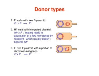 Donor types
1. F+ cells with free F-plasmid:
F+ x F-
F+
2. Hfr cells with integrated plasmid:
Hfr x F-
: mating leads to
acquisition of a few new genes by
acquisition of a few new genes by
recipient , which usually doesn’t
become Hfr
3. F’ free F-
plasmid with a portion of
chromosomal genes
F’ x F-
F’
 