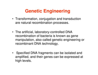 Genetic Engineering
Genetic Engineering
• Transformation, conjugation and transduction
are natural recombination processes.
• The artificial, laboratory-controlled DNA
recombination of bacteria is known as gene
recombination of bacteria is known as gene
manipulation, also called genetic engineering or
recombinant DNA technology.
• Specified DNA fragments can be isolated and
amplified, and their genes can be expressed at
high levels.
 