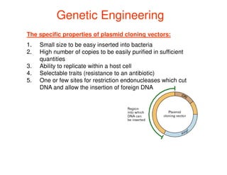 The specific properties of plasmid cloning vectors:
1. Small size to be easy inserted into bacteria
2. High number of copies to be easily purified in sufficient
quantities
3. Ability to replicate within a host cell
4. Selectable traits (resistance to an antibiotic)
5. One or few sites for restriction endonucleases which cut
Genetic Engineering
Genetic Engineering
5. One or few sites for restriction endonucleases which cut
DNA and allow the insertion of foreign DNA
 