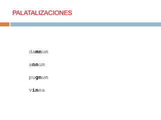 Reglas de evolución fonética del latín al castellano | PPT
