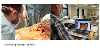 INTRODUCTION TO BASIC FORENSIC PATHOLOGY | PPTX