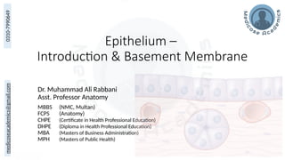 Overview of Epithelium and Basement Membrane Structure and Function | PPTX
