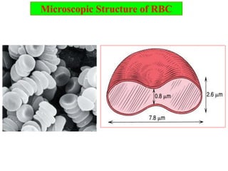 Created Rbc Histo 0. Hematology Histology.pdf and mainly based up on internet explorer on ...