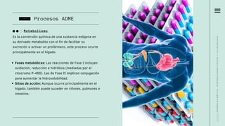 Profarmaco Farmacocinética: Interacciones fisicas y fisiológicas. Conceptos ...