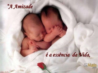 “ A Amizade   é a essência  da Vida, 