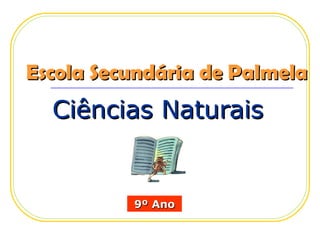 Escola Secundária de Palmela
  Ciências Naturais


          9º Ano
 