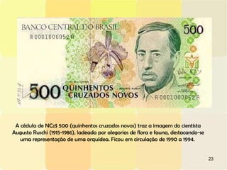 A cédula de NCz$ 500 (quinhentos cruzados novos) traz a imagem do cientista Augusto Ruschi (1915-1986), ladeada por alegorias de flora e fauna, destacando-se uma representação de uma orquídea. Ficou em circulação de 1990 a 1994.  