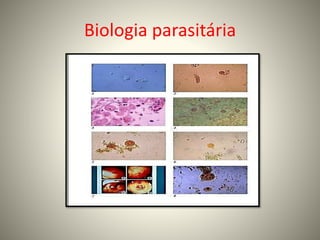 Biologia parasitária
 