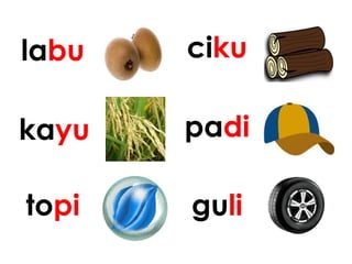 labu ciku
kayu padi
topi guli
 