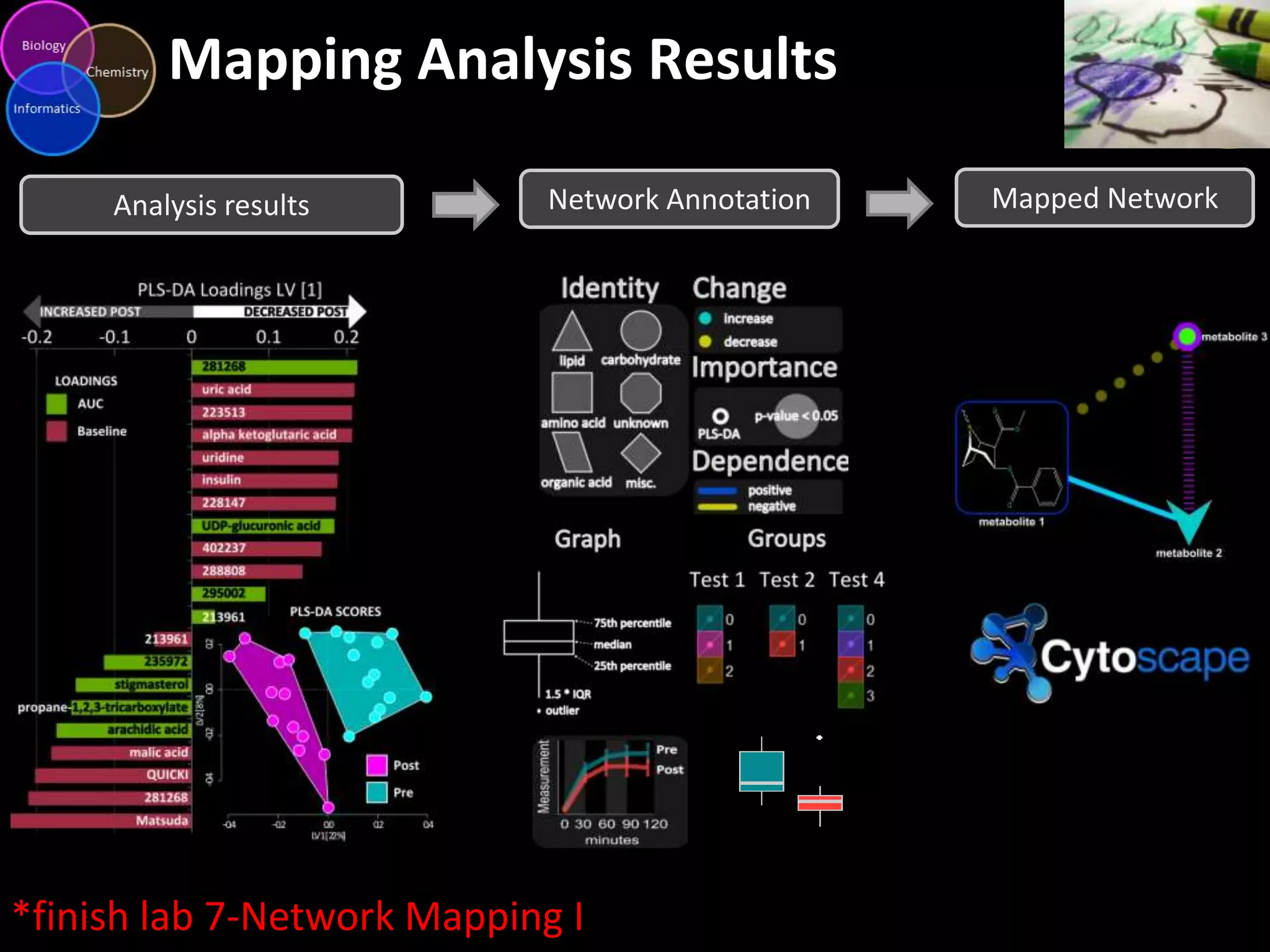 Mapping Analysis Results
Analysis results

Network Annotation

*finish lab 7-Network Mapping I

Mapped Network

 