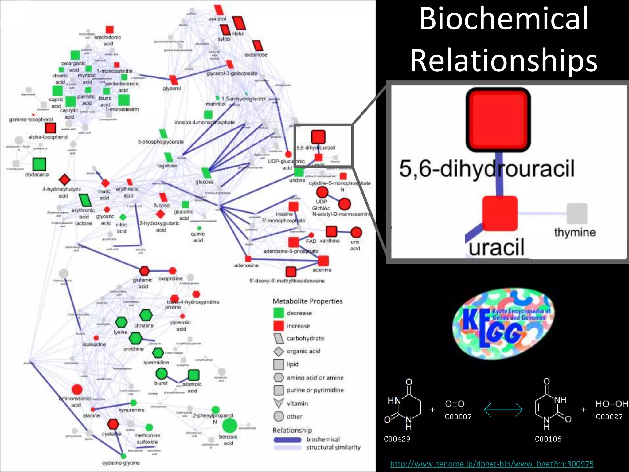 Biochemical
Relationships

http://www.genome.jp/dbget-bin/www_bget?rn:R00975

 