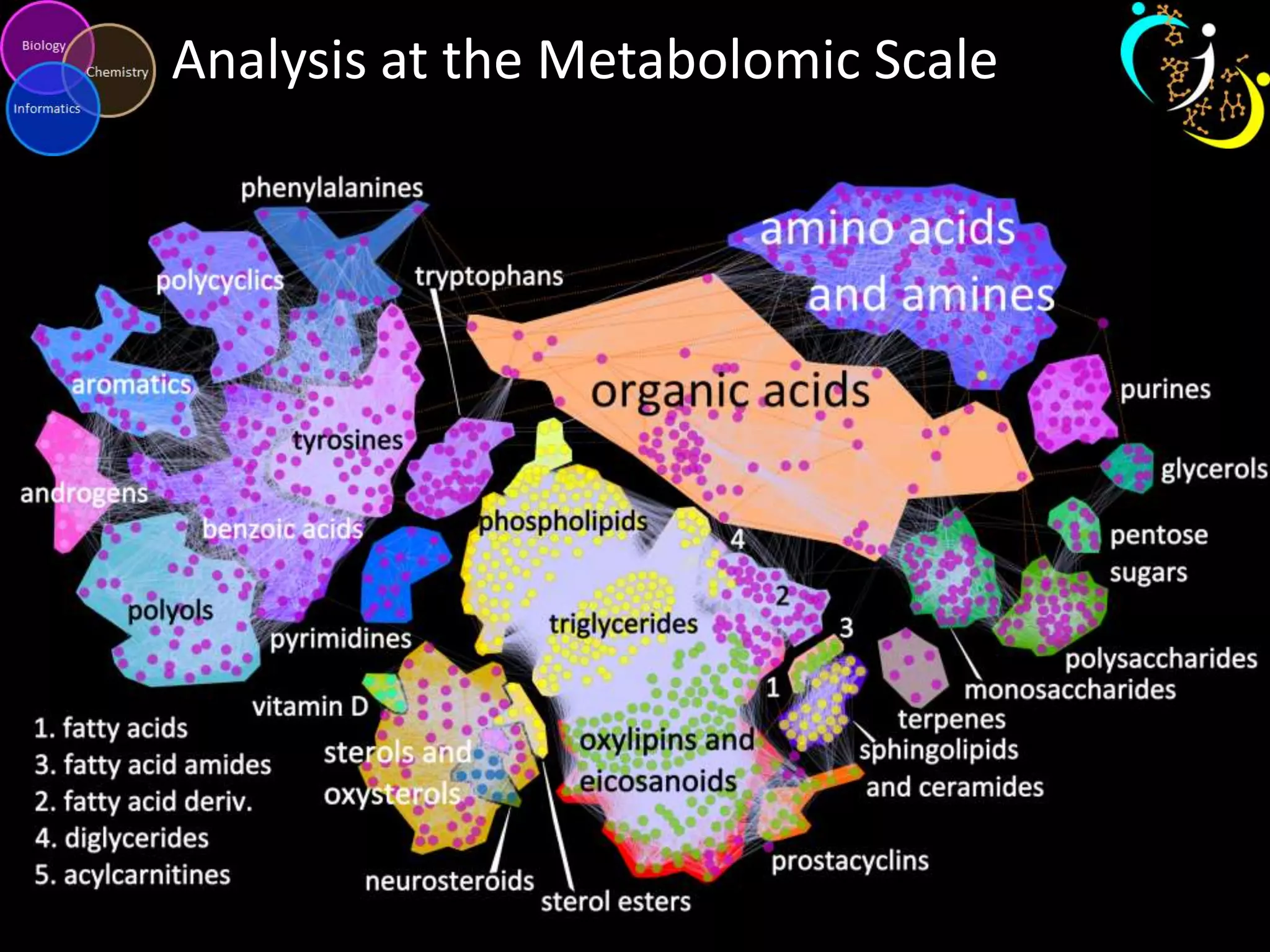 Analysis at the Metabolomic Scale

 