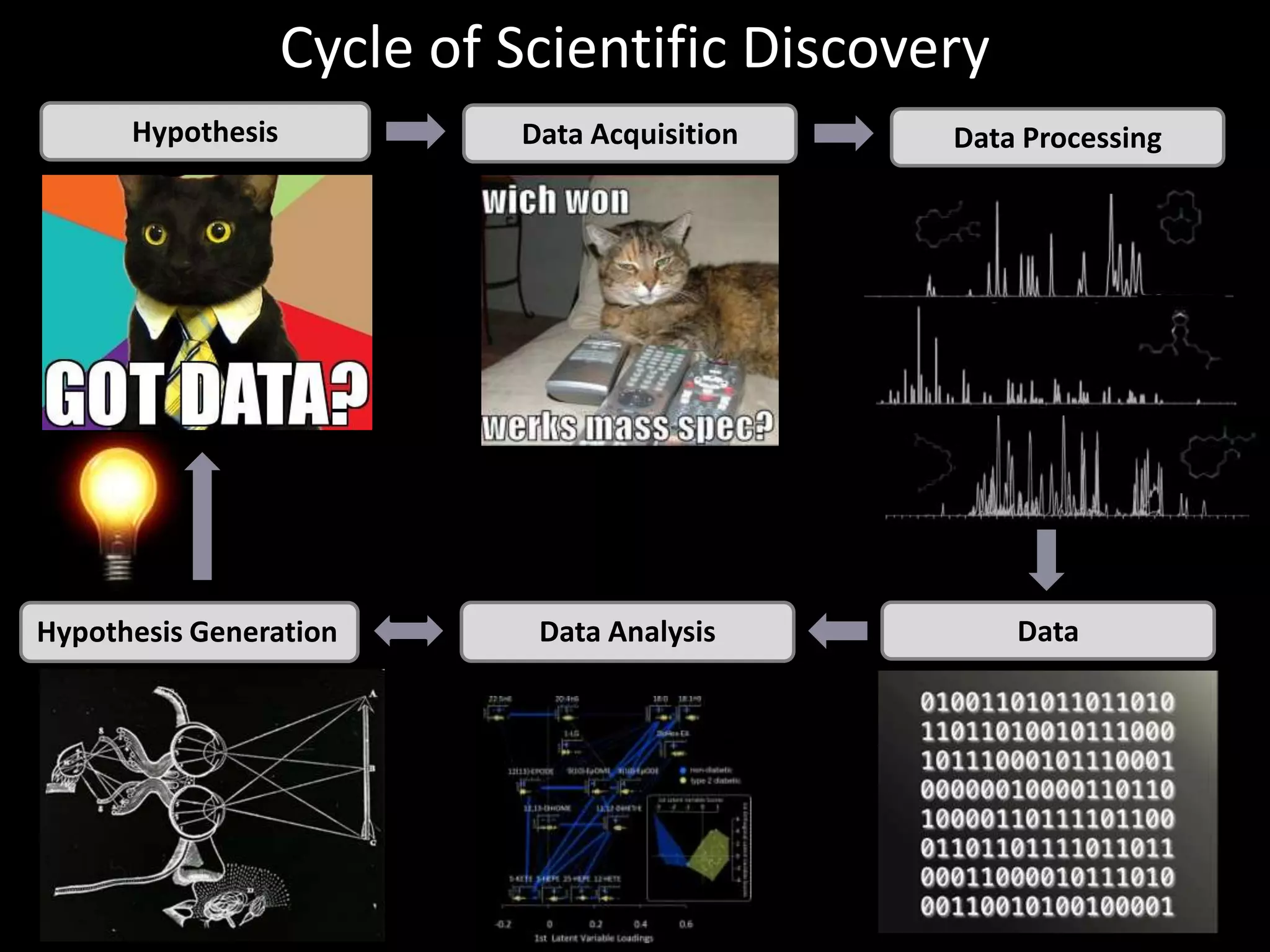 Cycle of Scientific Discovery
Hypothesis

Hypothesis Generation

Data Acquisition

Data Processing

Data Analysis

Data

 