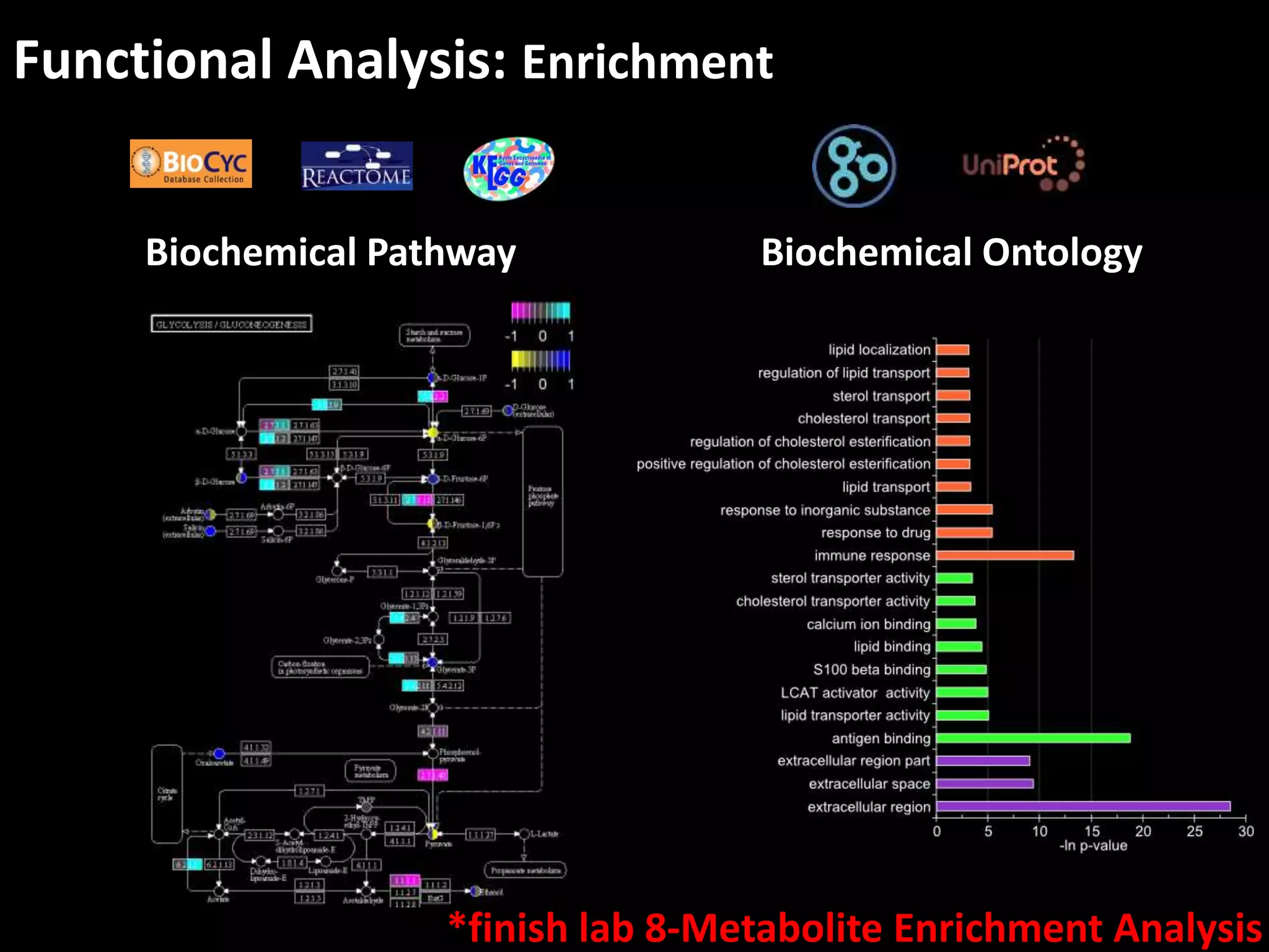Functional Analysis: Enrichment 
Biochemical Pathway Biochemical Ontology 
*finish lab 8-Metabolite Enrichment Analysis 
 