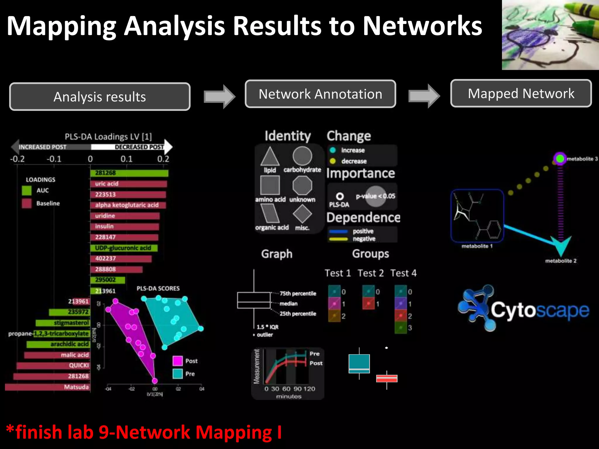 Mapping Analysis Results to Networks 
Analysis results Network Annotation Mapped Network 
*finish lab 9-Network Mapping I 
 