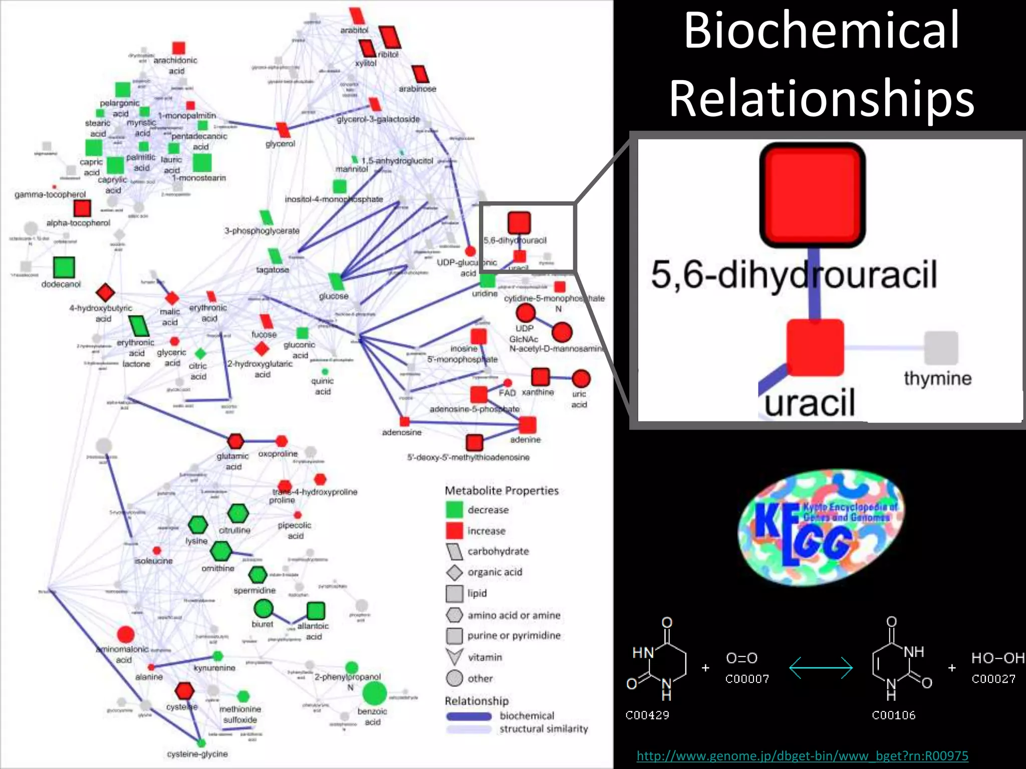 Biochemical 
Relationships 
http://www.genome.jp/dbget-bin/www_bget?rn:R00975 
 