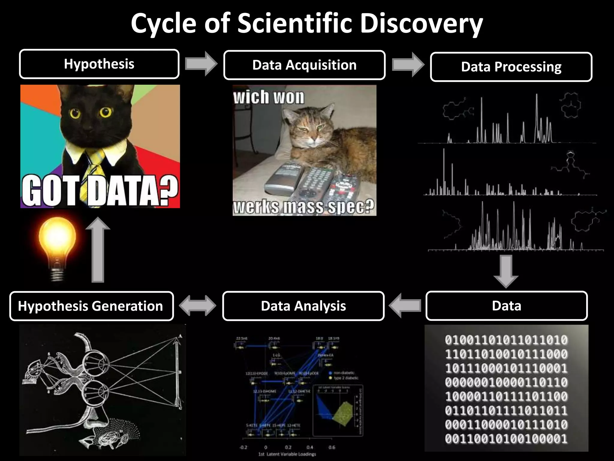 Cycle of Scientific Discovery 
Hypothesis Data Acquisition 
Data Processing 
Hypothesis Generation Data Analysis Data 
 