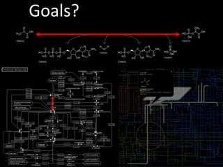 Metabolomic Data Analysis Workshop and Tutorials (2014) | PPTX
