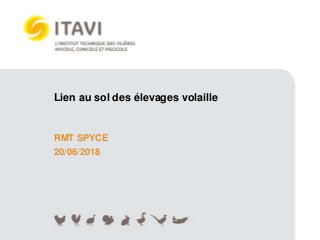 RMT SPYCE
20/06/2018
Lien au sol des élevages volaille
 