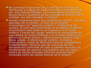 No convergen y procesan en un solo punto sino que se distribuyen a lo largo de todo el territorio corporal. Ello da pie -dice Antonio Elizalde- a una concepción mucho más democrática e igualitaria de los procesos de la vida y de la realidad, sea ella individual o colectiva. Nuestro organismo tiene dos maneras de conocer. Una está asociada con el cerebro, la otra con el sistema inmunológico (el “segundo cerebro”). A diferencia del cerebro, el cual está concentrado en la cabeza, el sistema inmunológico está disperso en órganos y en el fluido linfático a través del cuerpo. Nosotros lo encontramos en una cadena de nudos linfáticos y en el fluido linfático que permea el cuerpo entero y efectivamente penetra cada tejido aislado. A diferencia del cerebro, el sistema inmunológico consta de diferentes tipos de componentes fundamentales. Mientras que las neuronas son los componentes uniformes de todo el sistema nervioso, los componentes del sistema inmunológico son una clase entera de células llamadas linfocitos (popularmente conocidos como las células blancas de la sangre).  