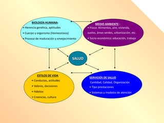 SALUD
BIOLOGÍA HUMANA:
• Herencia genética, aptitudes
• Cuerpo y organismo (Homeostasia)
• Proceso de maduración y envejecimiento
MEDIO AMBIENTE :
• Físico: Alimentos, aire, vivienda,
suelos, áreas verdes, urbanización, etc.
• Socio-económico: educación, trabajo
ESTILOS DE VIDA
• Conductas, actitudes
• Valores, decisiones
• Hábitos
• Creencias, cultura
SERVICIOS DE SALUD
Cantidad, Calidad, Organización
• Tipo prestaciones
• Sistemas y modelos de atención
 