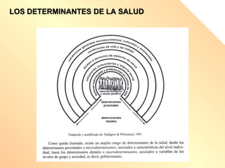 LOS DETERMINANTES DE LA SALUD
 